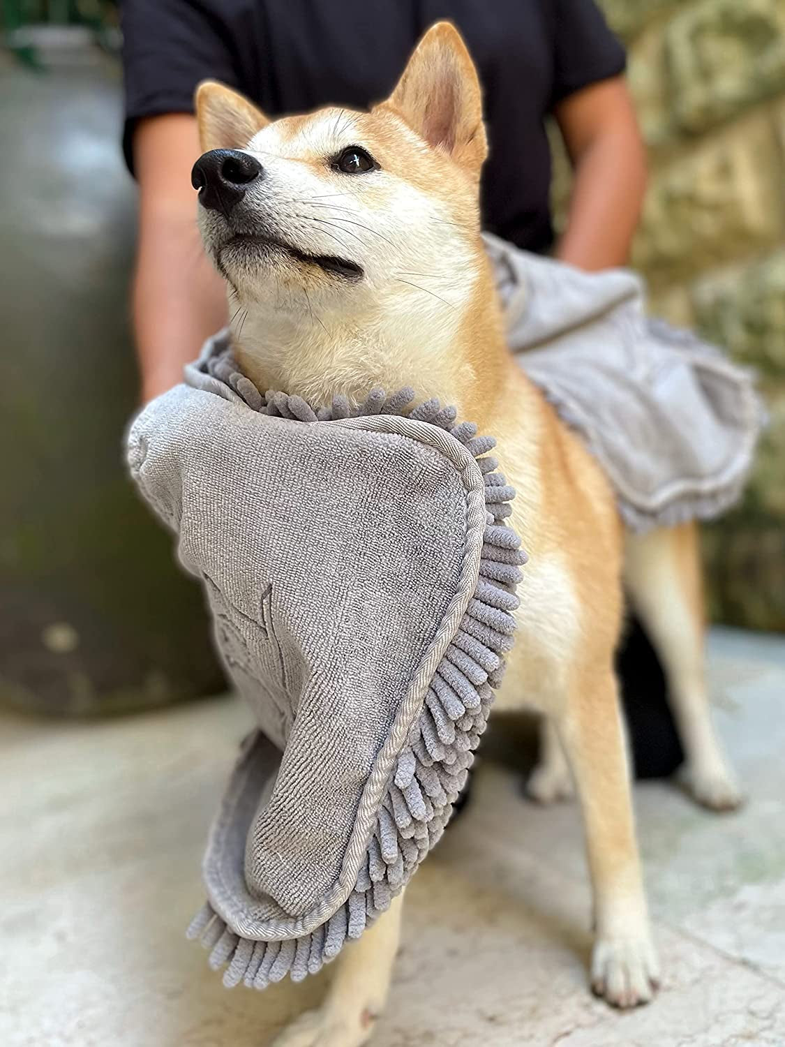 Extra large quick-dry microfiber dog towel - wrapped around a dog