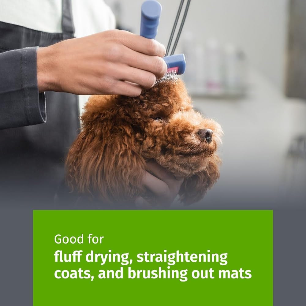 Long-pin slicker brush for doodles - brushing a curly-coated dog