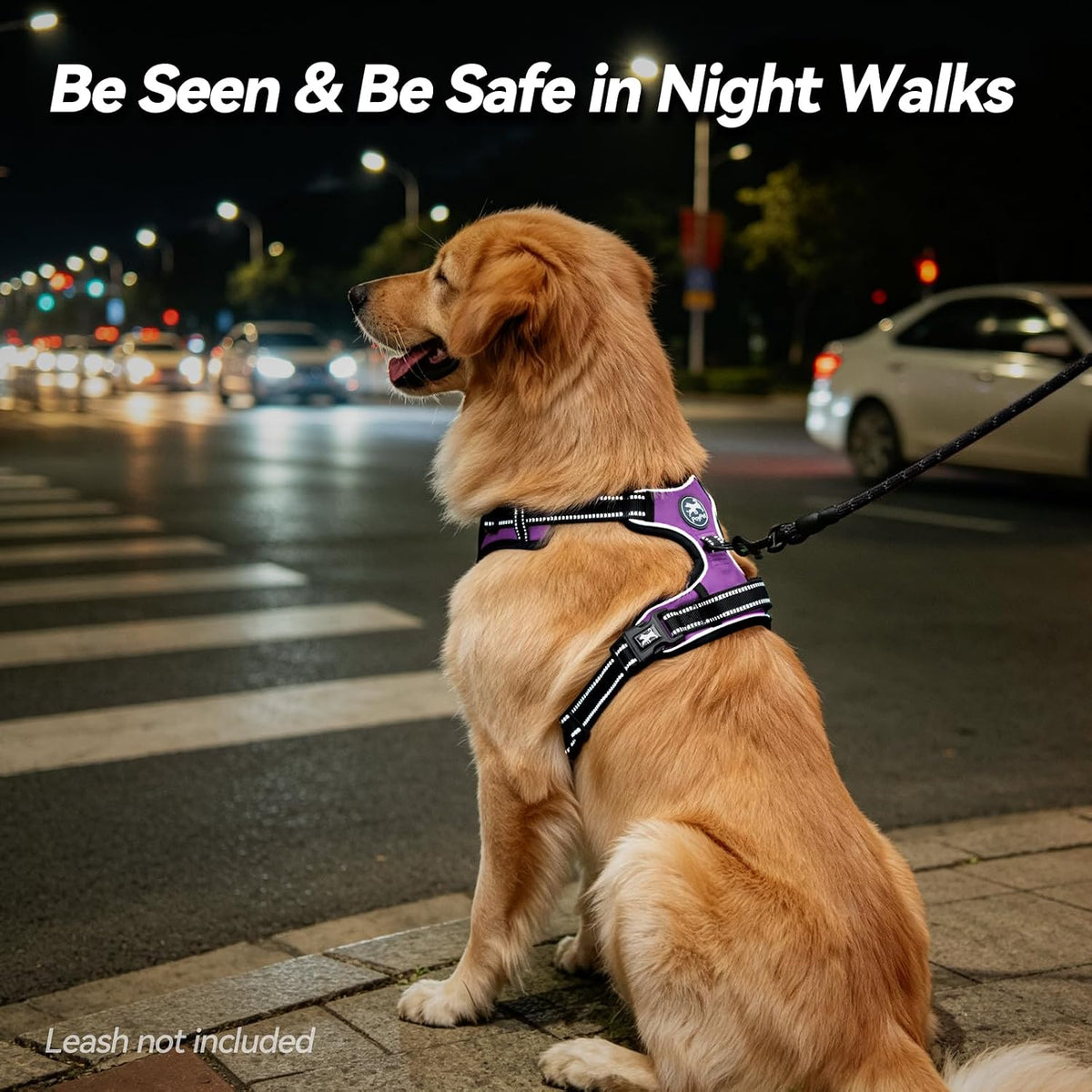 Purple no-pull dog harness with front clip, view 7 of 8