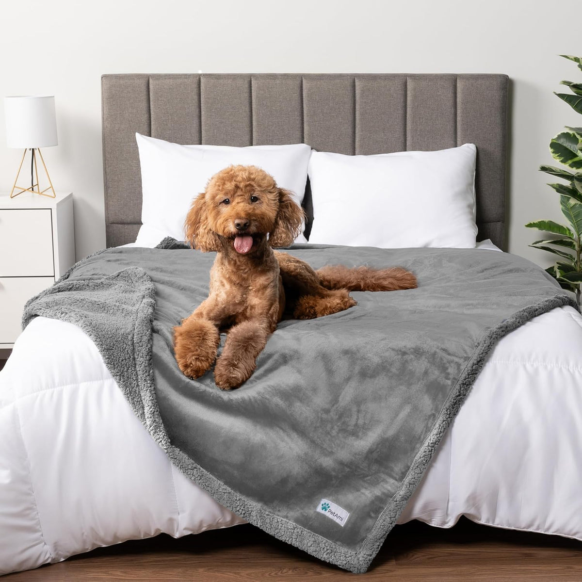 Light gray waterproof sherpa dog blanket