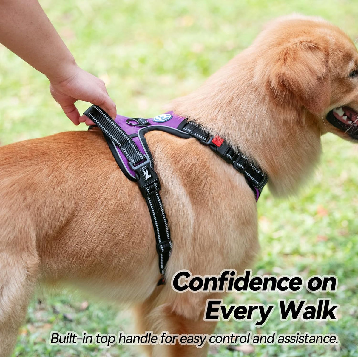 Purple no-pull dog harness with front clip, view 6 of 8