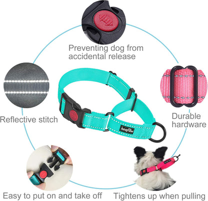 Turquoise escape-proof martingale dog collar, view 3 of 6
