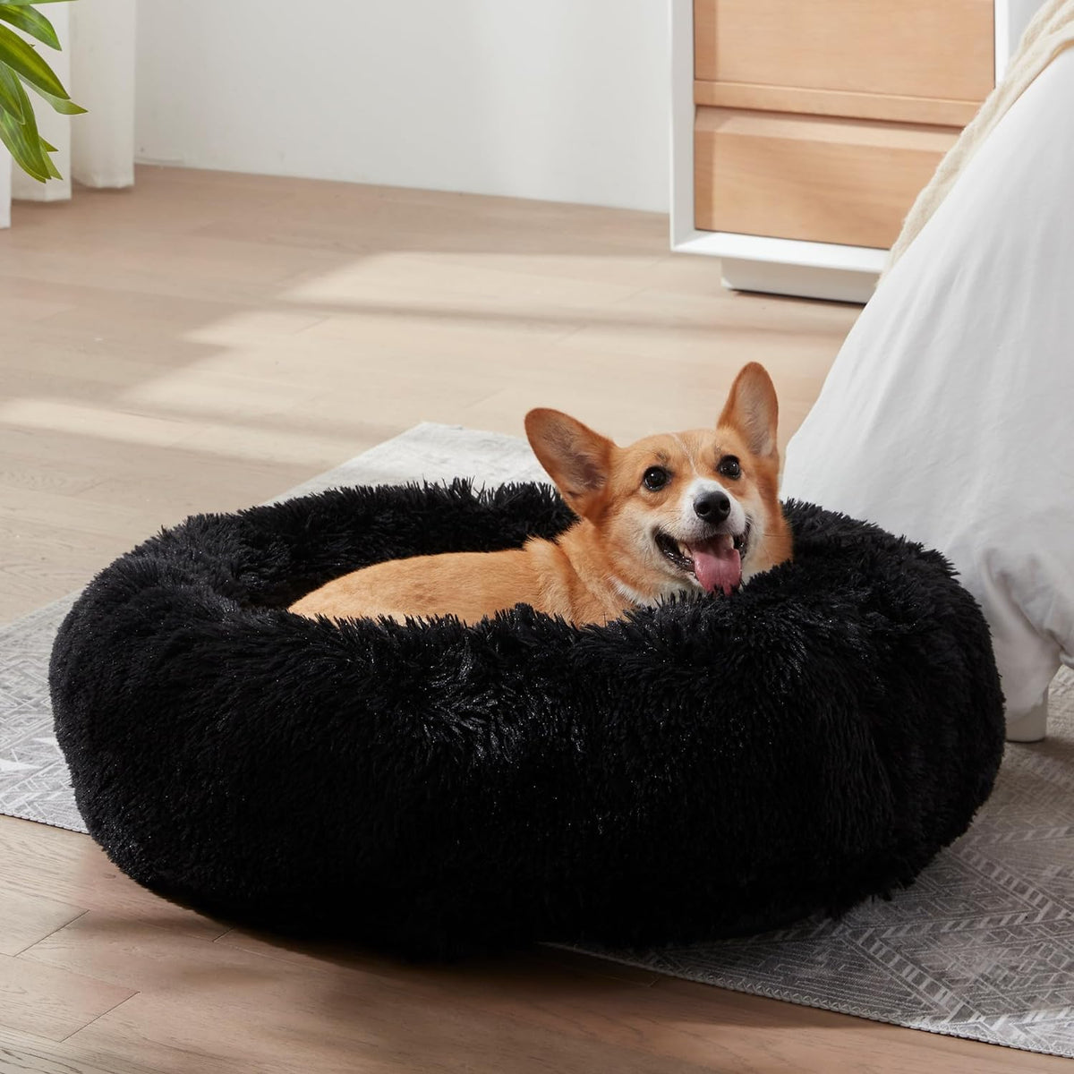 Black faux fur calming donut bed - with a corgi