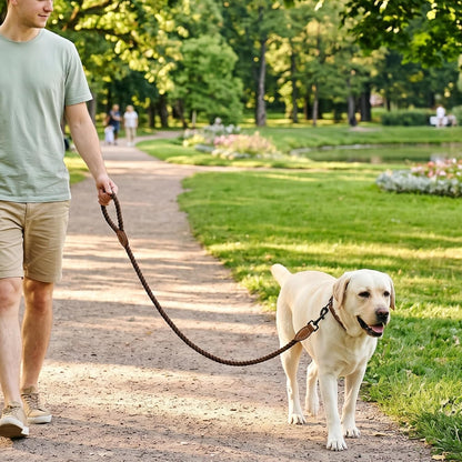 Braided cotton rope dog leash with leather ends, view 3 of 7