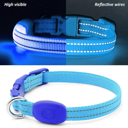 Royal blue rechargeable LED light-up dog collar - reflective strip close-up