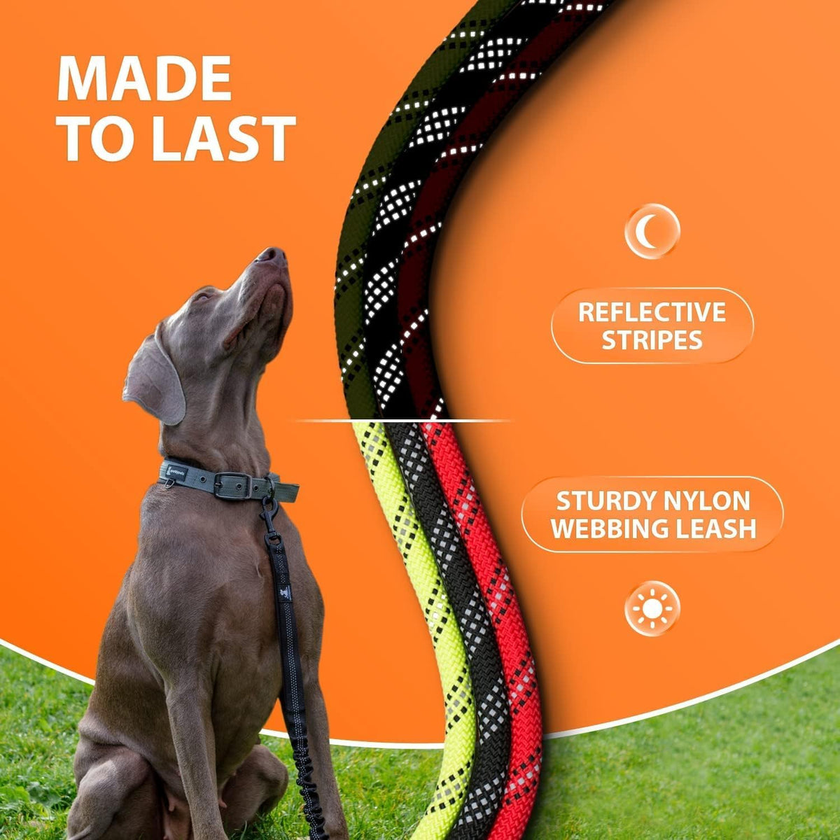 Teal heavy-duty bungee rope dog leash, view 6 of 7