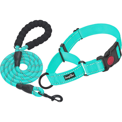 Turquoise escape-proof martingale dog collar
